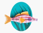 Longnose Hawkfish