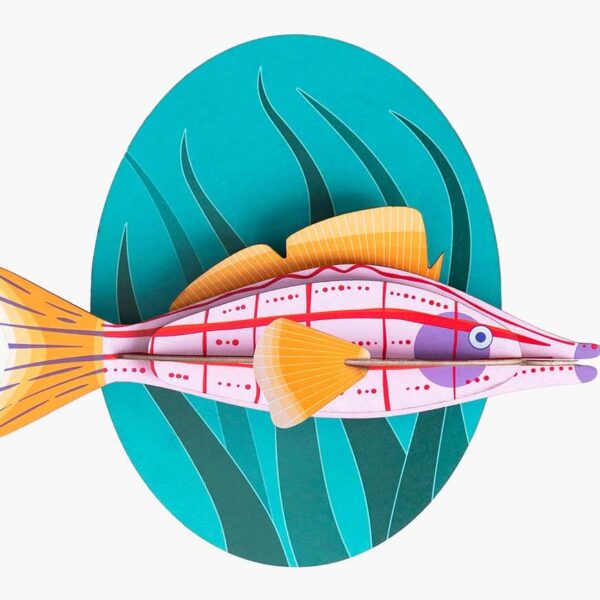 Longnose Hawkfish