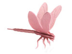 Lovi DRAGONFLY, light pink