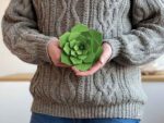 Lovi Decor Flower 15cm, forest green – Bild 2