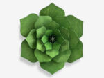 Lovi Decor Flower 24cm, forest green – Bild 2