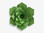 Lovi Decor Flower 15cm, forest green