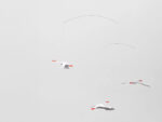 Lucky Storks, Mobile