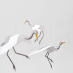 Crane Dance – Bild 3