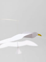 Soaring Seagulls – Bild 4