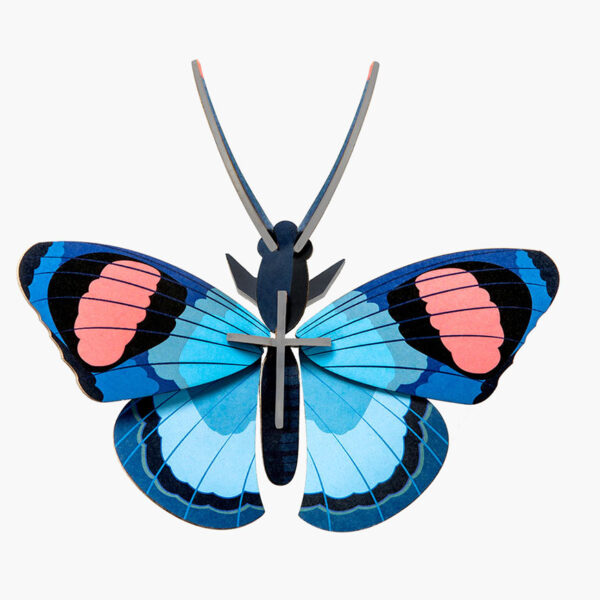 Peacock Butterfly