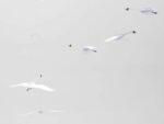Scandinavian Swans, Mobile – Bild 3