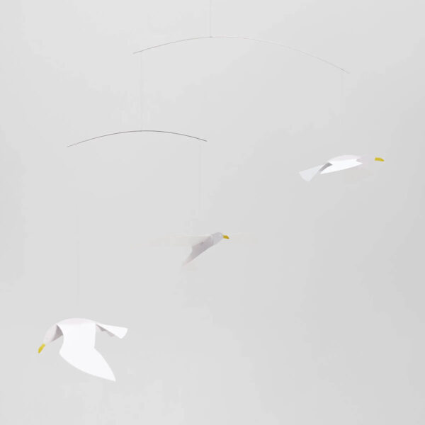 Soaring Seagulls