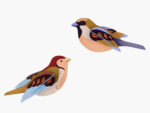 Sparrows