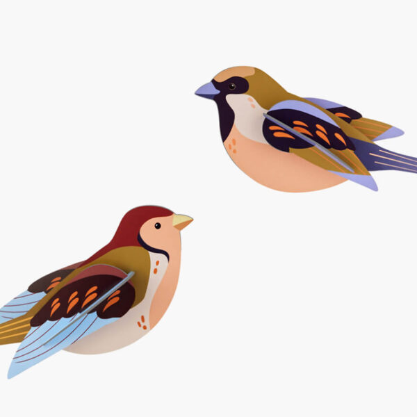 Sparrows