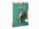 Woodpecker | Specht – Bild 3