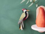Woodpecker | Specht