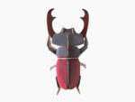 Stag Beetle, Hirschkäfer – Bild 2