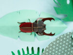 Stag Beetle, Hirschkäfer – Bild 4