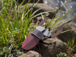 Stag Beetle, Hirschkäfer – Bild 3