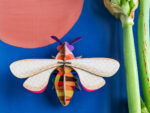 Honey Bee
