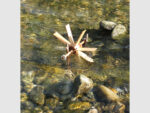 Kleines Wasserrad – Bild 4