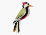 Woodpecker | Specht – Bild 2