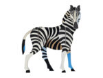 Zebra – Bild 4