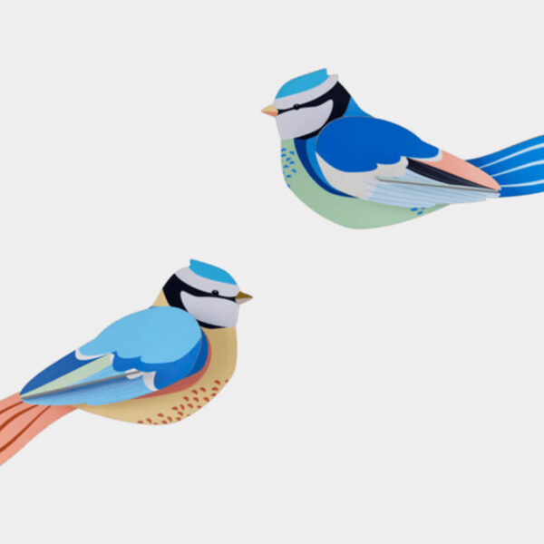 Blaumeisen