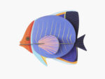 Butterflyfish
