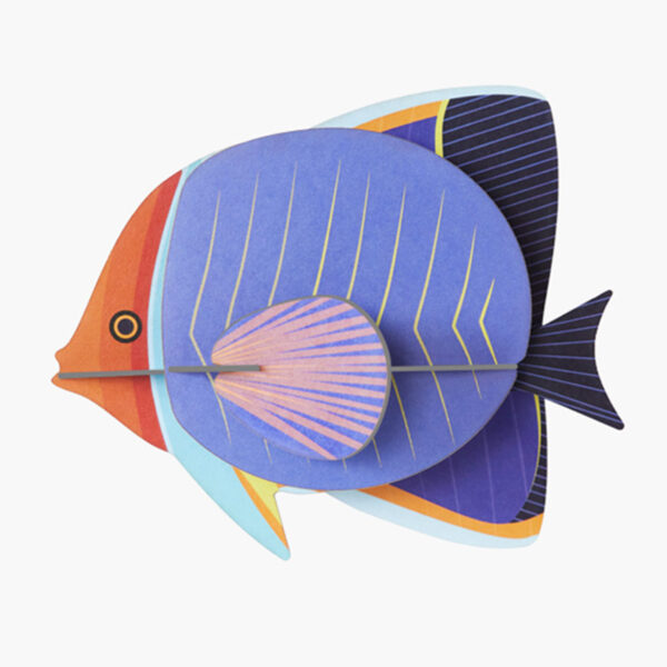 Butterflyfish