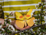 Yellow Butterfly