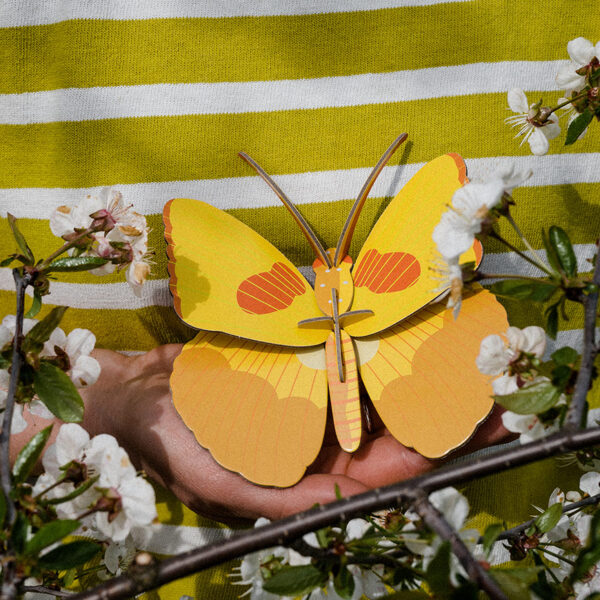 Yellow Butterfly