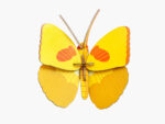 Yellow Butterfly – Bild 2