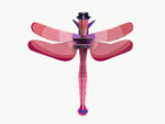Ruby Dragonfly