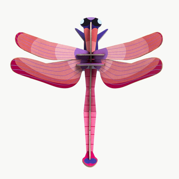 Ruby Dragonfly