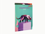 Triceratops – Bild 3