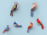 Kingfishers – Bild 5