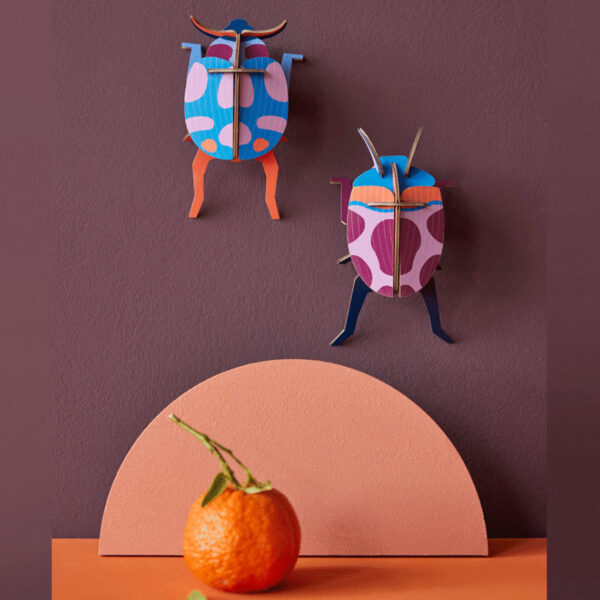Coccinelle Couple