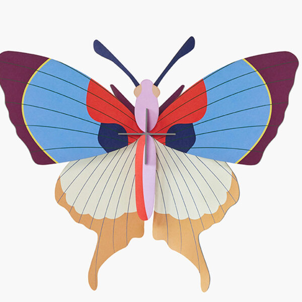 Plum Fringe Butterfly