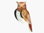 tawny owl, Waldkauz