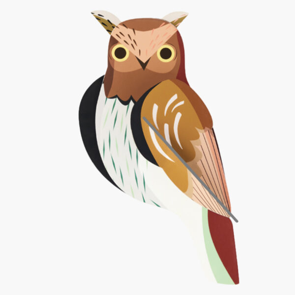 tawny owl, Waldkauz