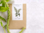 Amaranthus caudatus ‚Green Cascade′ (Fuchsschwanz) – Bild 2