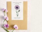 Centaurea Cyanus ‚Classic Magic‘ Kornblume – Bild 5