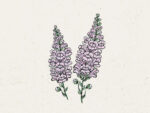 Antirrhinum Majus ‚Summer Lavender‘ Löwenmäulchen
