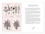 Jora Dahl, Flower Notes – Ein Blumenjournal – Bild 3