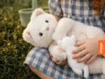 Plüschkatze „Millie“ – Weiße Katze, 40 cm, Set Katze, Kätzchen & Tragetasche – Bild 9