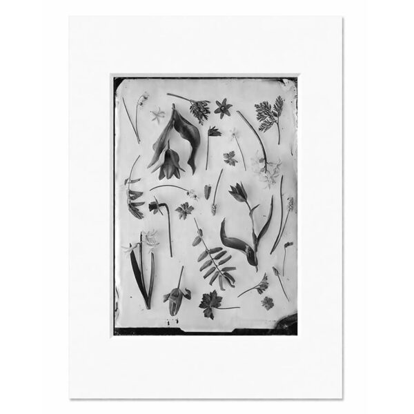 OVO Things Spring Garden April - Silverprint