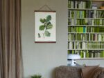 Acorn, Poster 35x50 cm – Bild 2