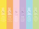 MIFFY Colourful Surprise Collection Bundle of Light – Bild 4