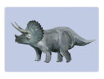 Frühstücksbrettchen Triceratops, NUUKK