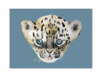 Postkarte Leopard, NUUKK