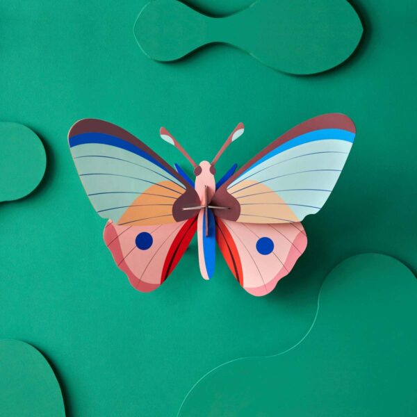 Cattleheart Butterfly