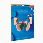 Cepora Butterfly – Bild 3