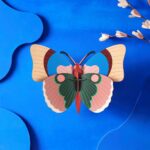 Cepora Butterfly